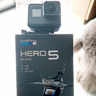 GoPro